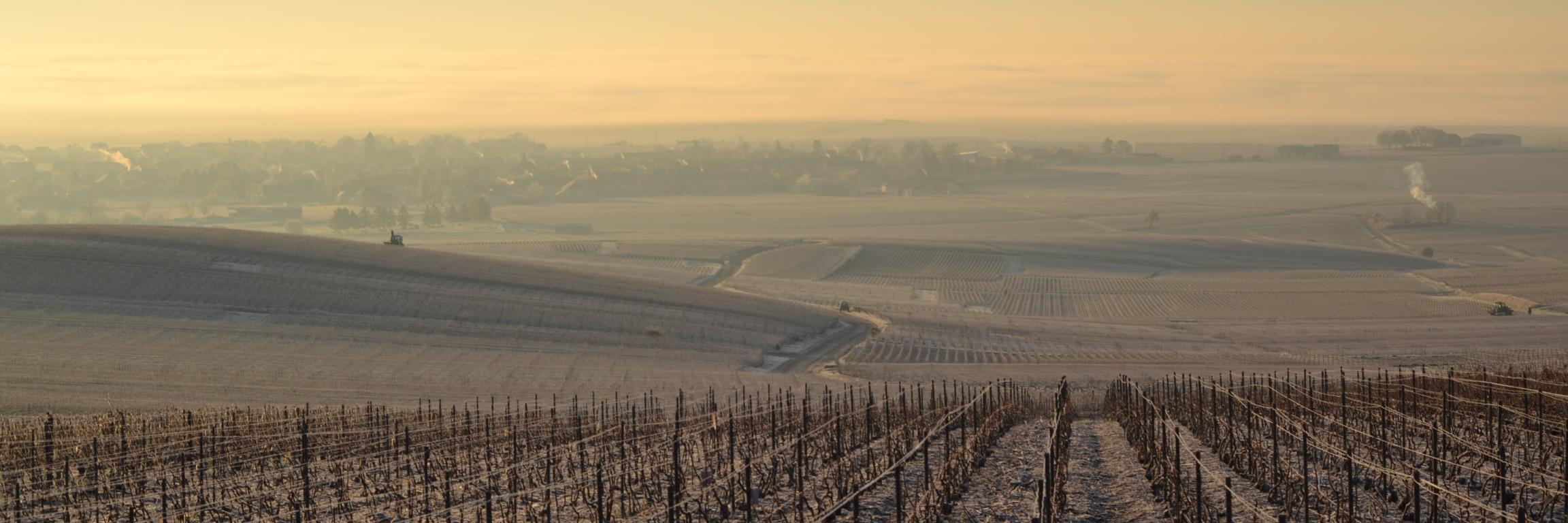 AntoineCoutier's profile banner image