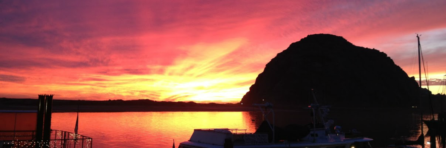 GamericanFishCo's profile banner image