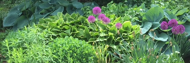 Susan Brunskill banner