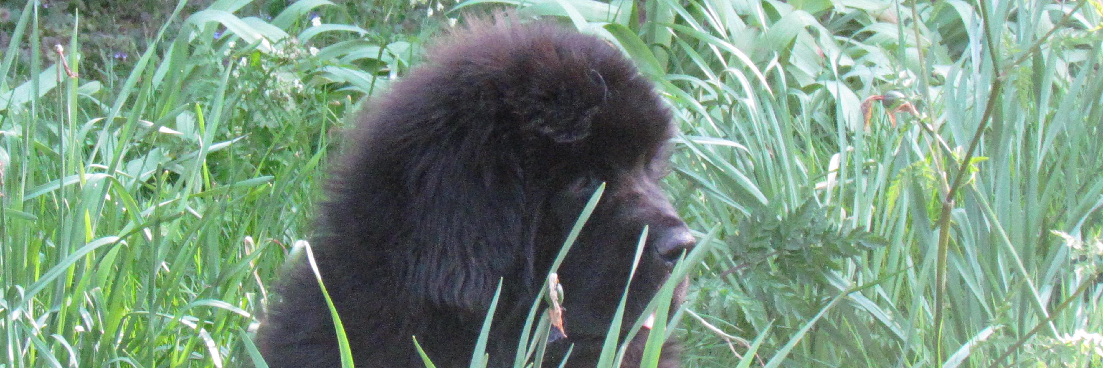 Zak otrb 🌈 banner