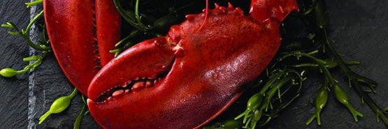 Goodeats123's profile banner image