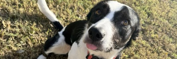 kswaggyyyy Profile Banner