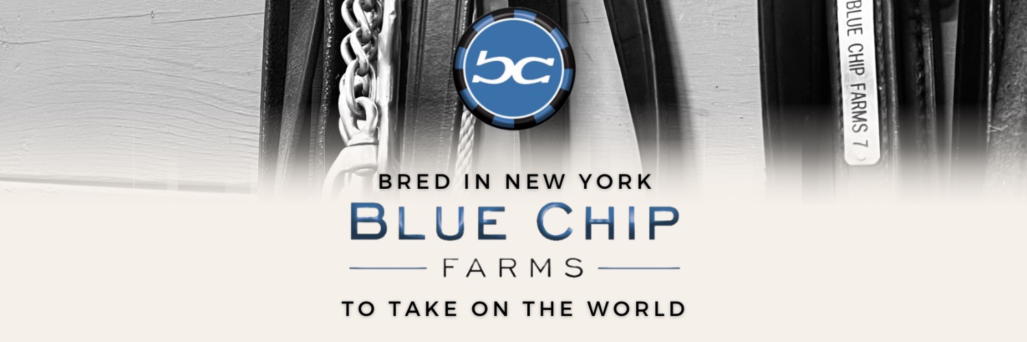 Blue Chip Farms banner