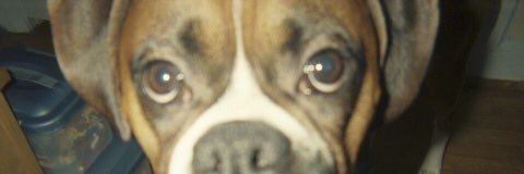 NS_99's profile banner image