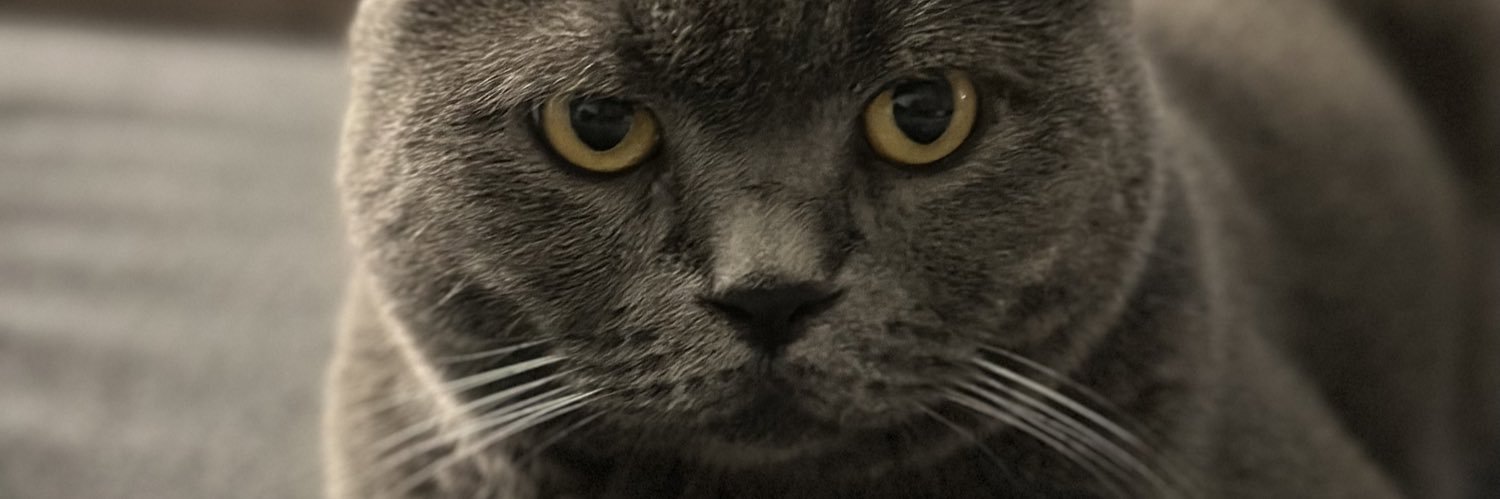 aamarhzq's profile banner image