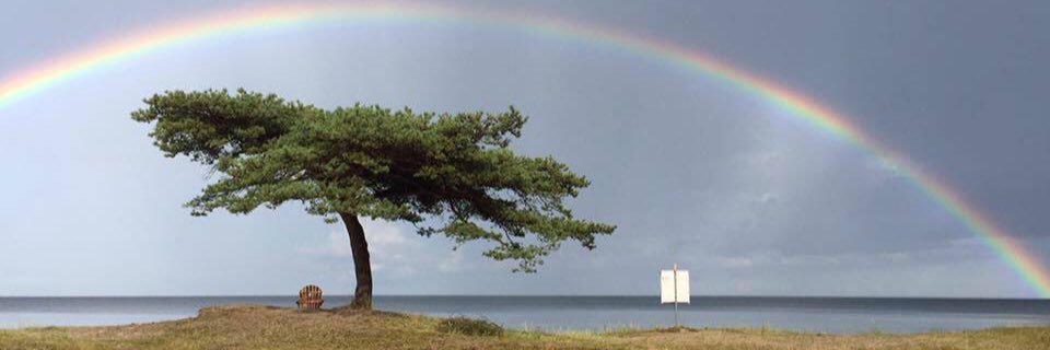 prralin's profile banner image