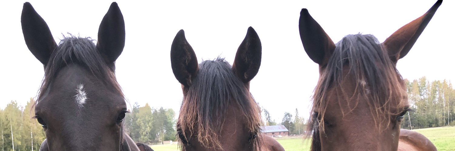 pmakila's profile banner image