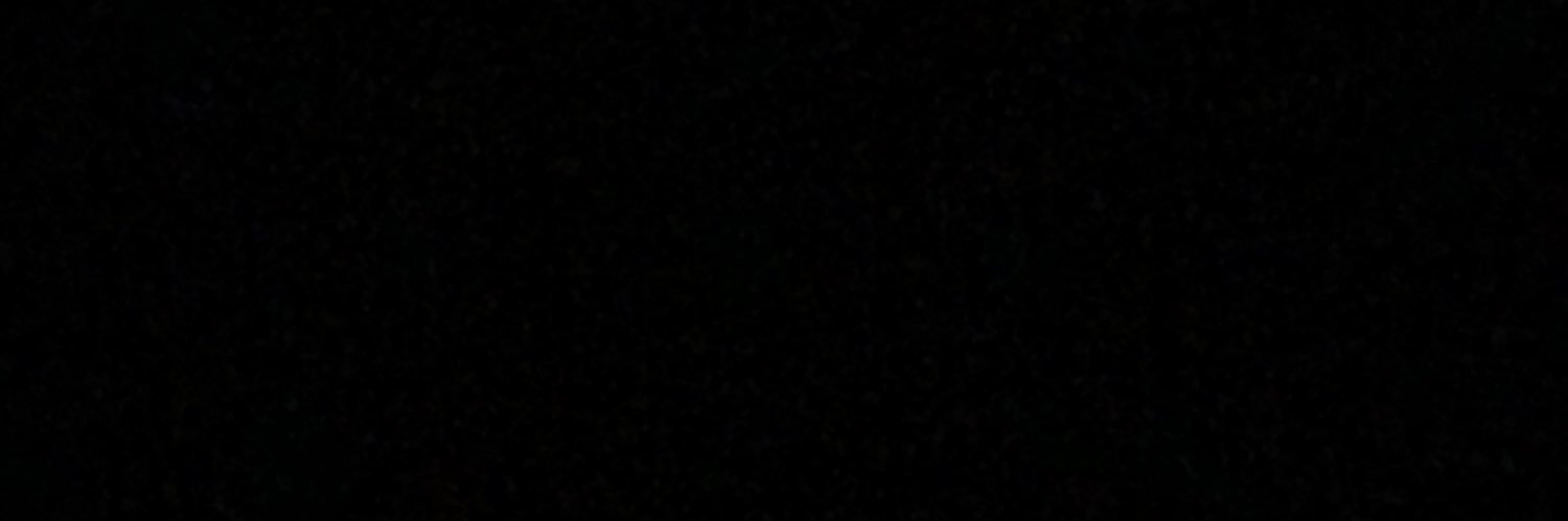 Angelinarydensj's profile banner image