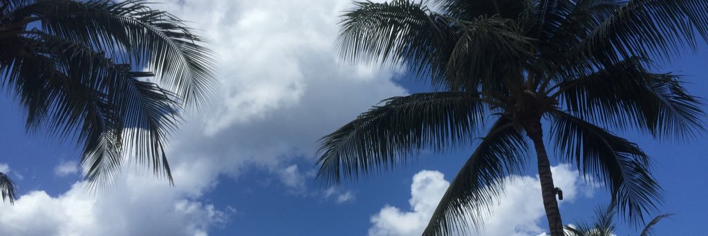 brielleosthoff's profile banner image
