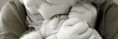 DoWanKwon's profile banner image