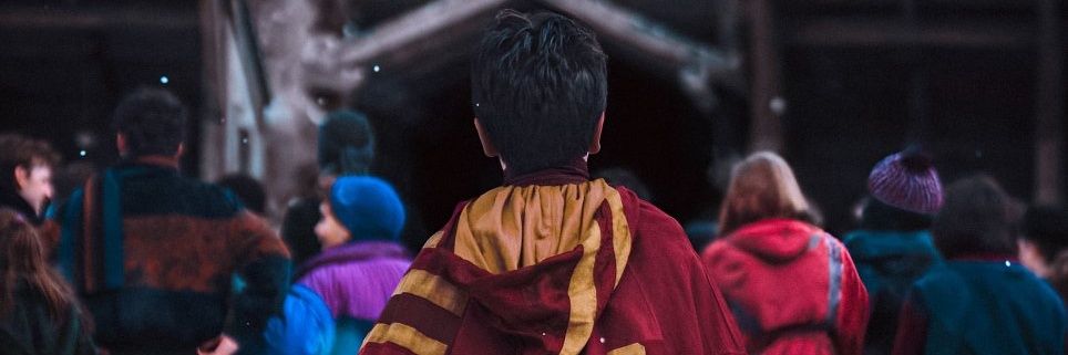 frojinha 🌻⚡ banner