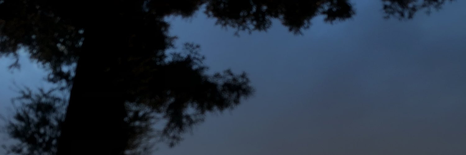 janine_cerda's profile banner image