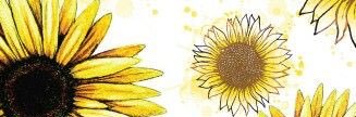 Bella 🌻 banner