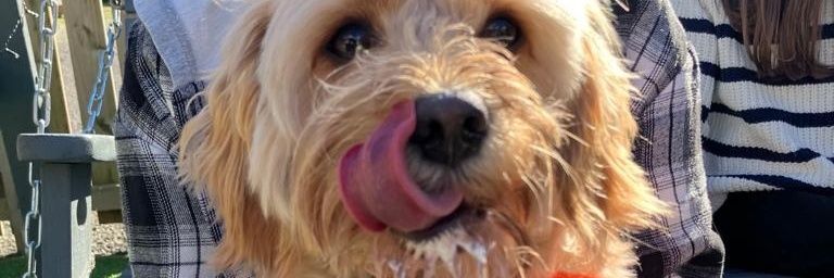 evoymcg's profile banner image