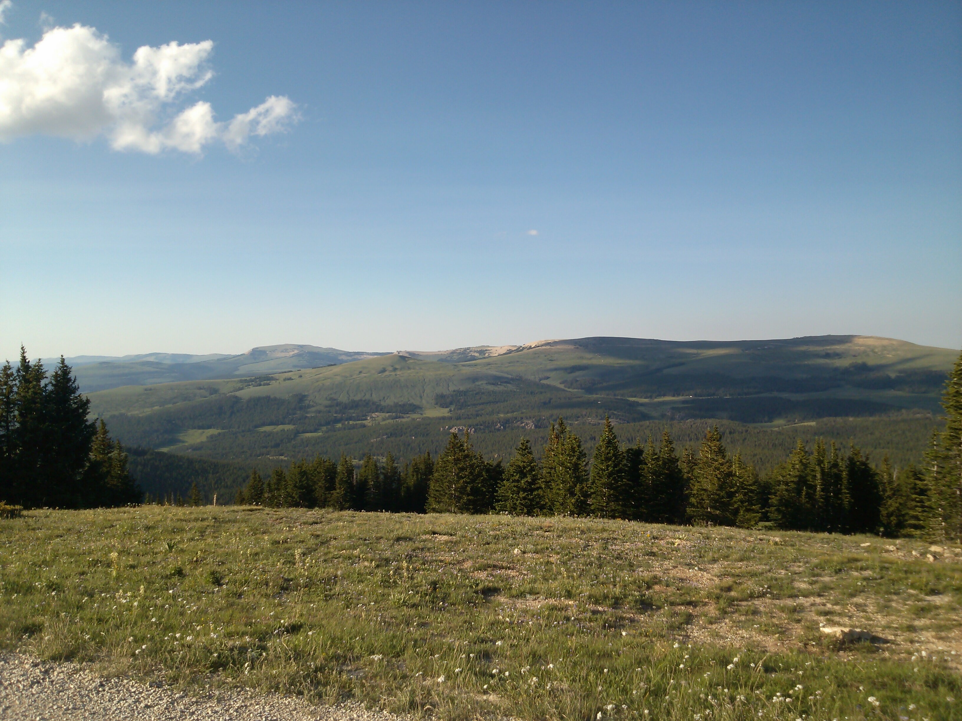 EaslinAR's profile banner image