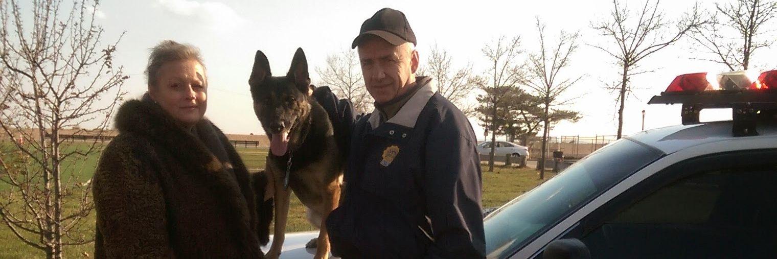 k9timoshenko's profile banner image