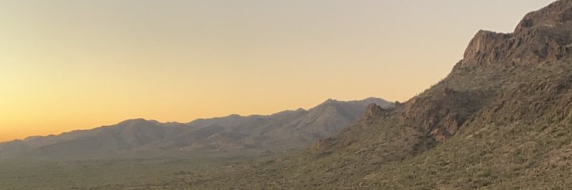 ella_brophy's profile banner image