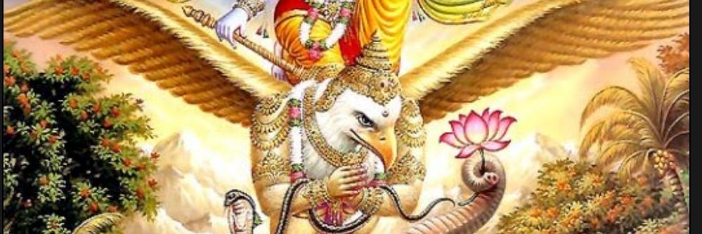 ashvinn15's profile banner image