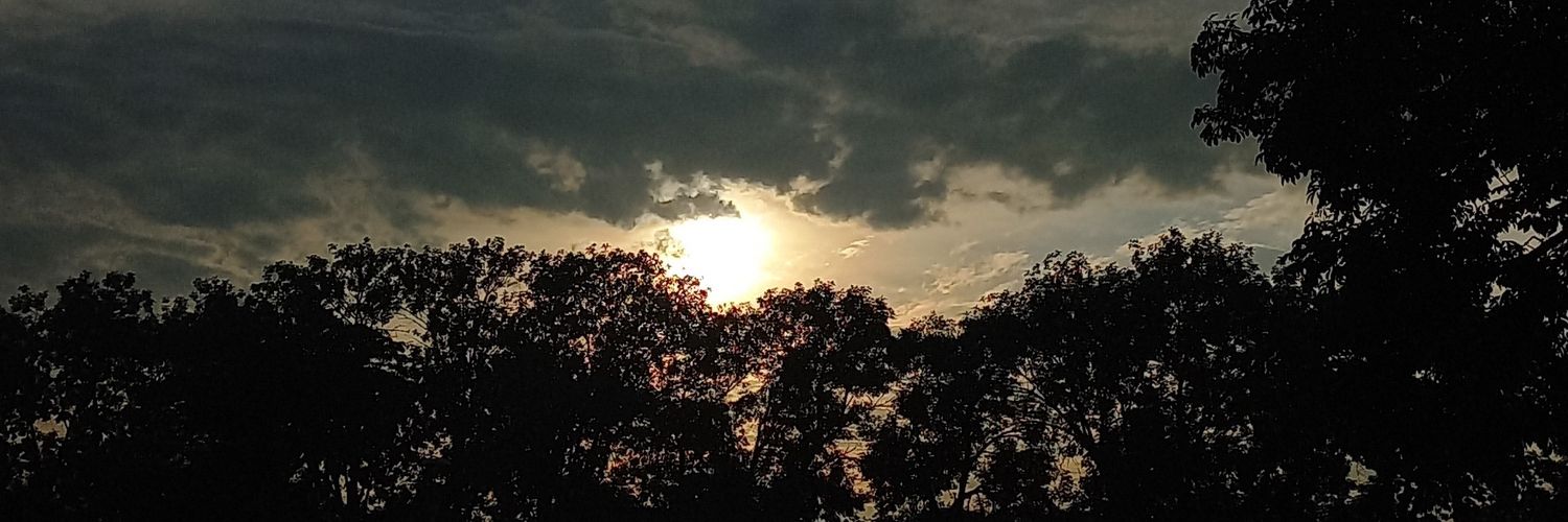 WandaDenise10's profile banner image