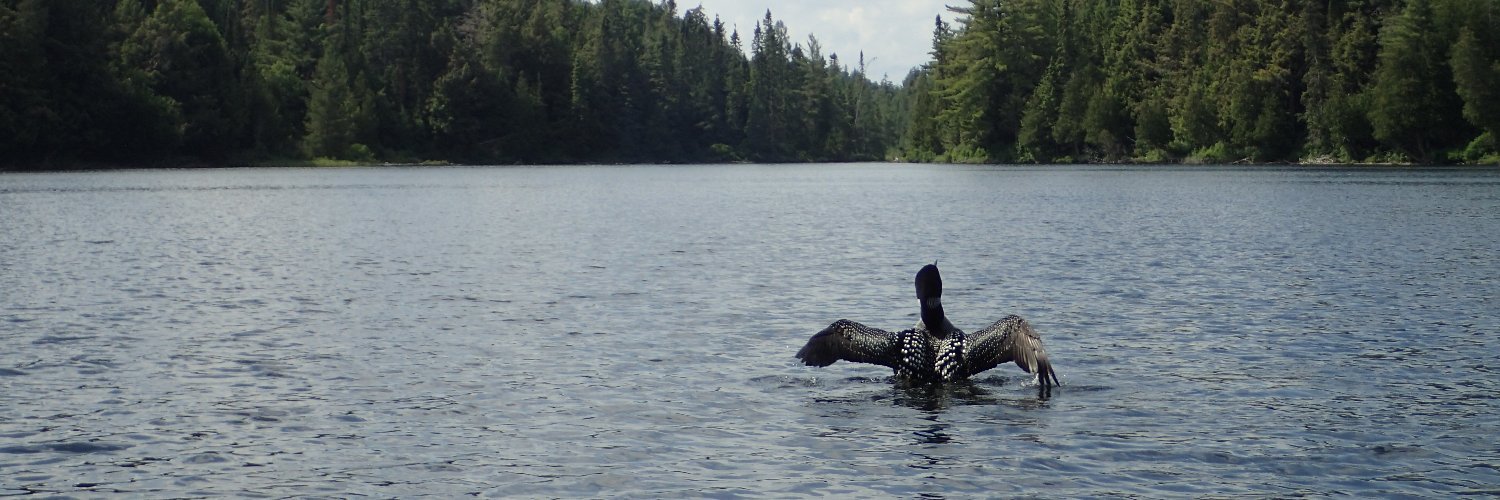 Haley Kragness banner