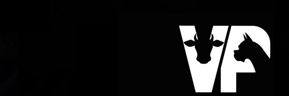 andrescpt's profile banner image
