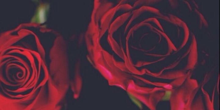 __trf_22's profile banner image