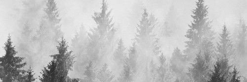 CDxLucy's profile banner image