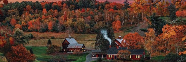 AshleyD4's profile banner image
