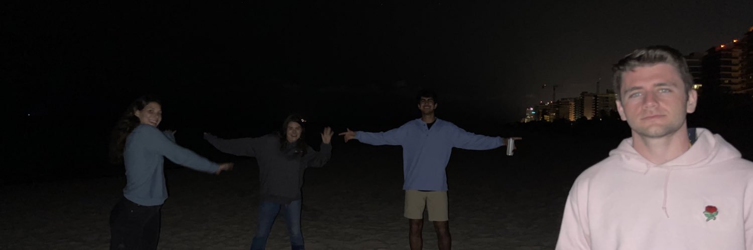 roninchasan's profile banner image