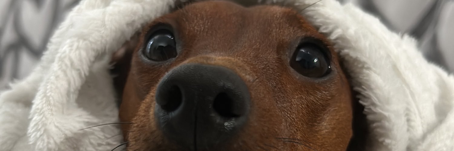 aliciaml2's profile banner image