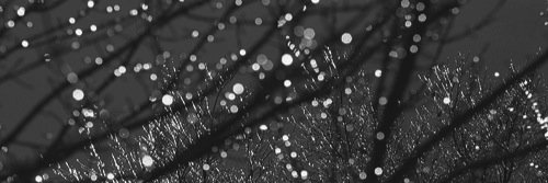 IsaacRPGMA's profile banner image