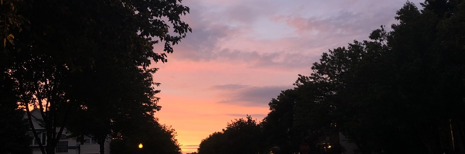 emilynadamss's profile banner image