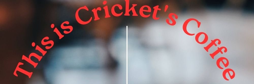 cricketfox's profile banner image