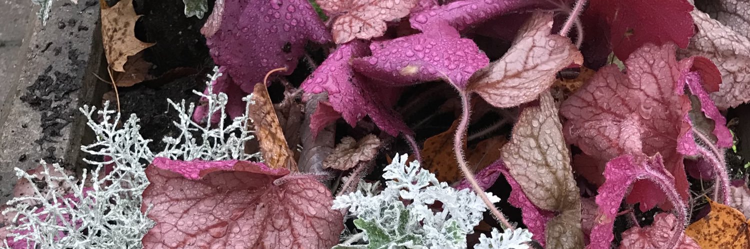 ingran_m's profile banner image