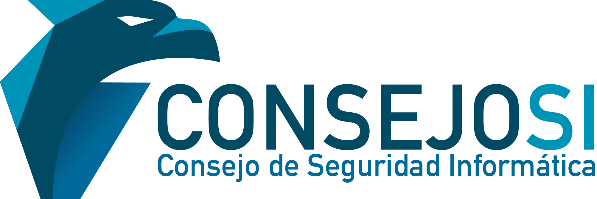 CONSEJOSI banner