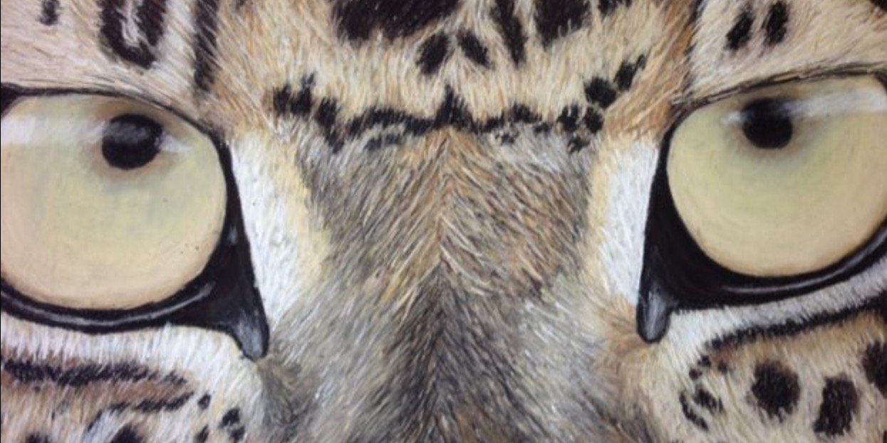 MHS Art Gallery banner