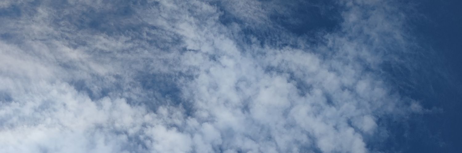 feliz20145's profile banner image