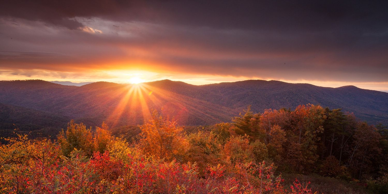 michael mackuliak banner