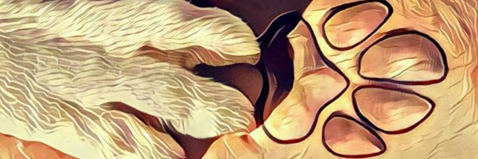 ManbertOfficial's profile banner image