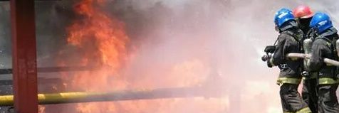 pfmaurelia's profile banner image