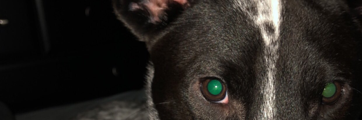 GavinHouser's profile banner image