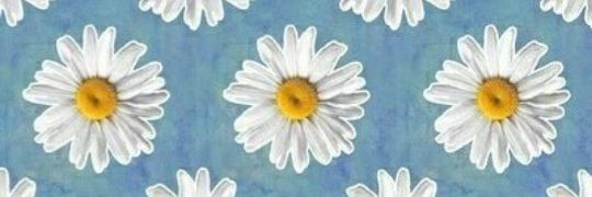 vicc_silvaa's profile banner image