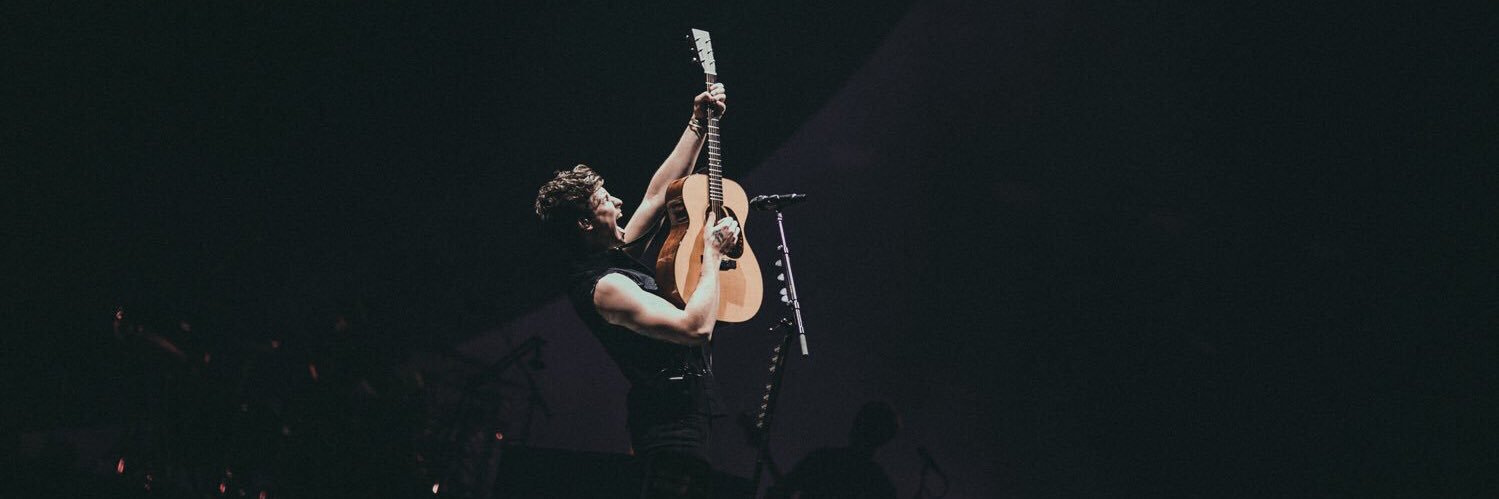 dylan banner