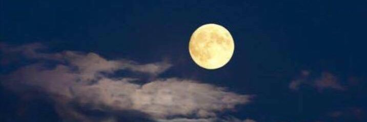 Debbie Wiltse banner