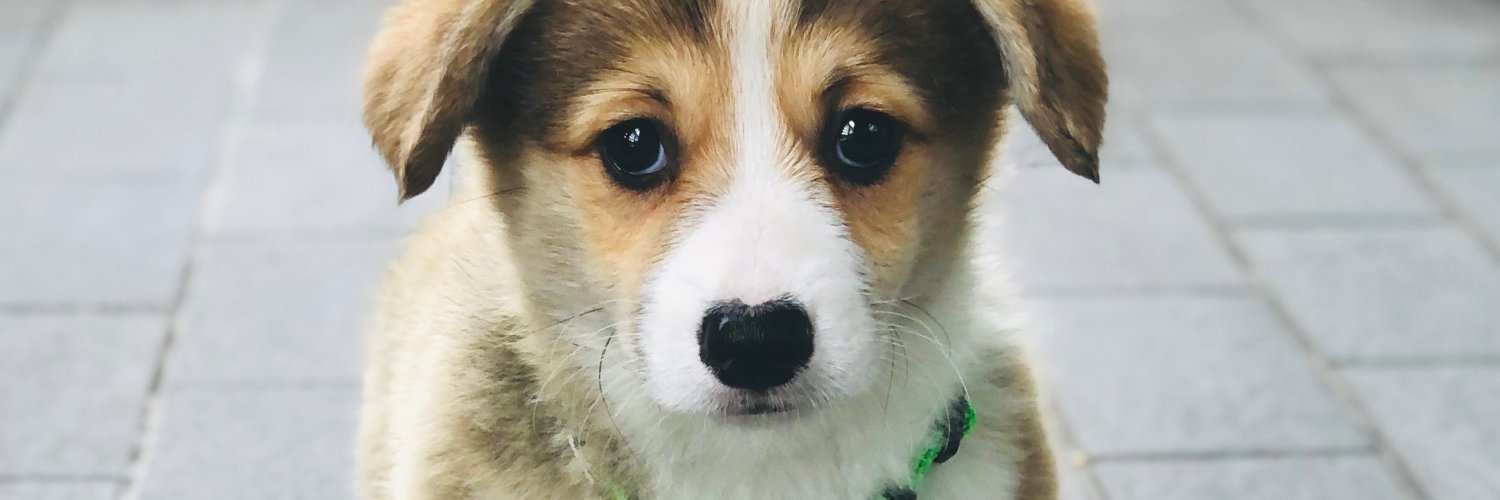 molzy4's profile banner image