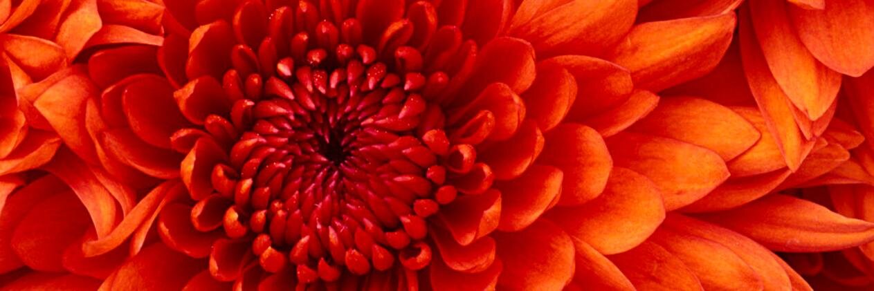 ChatterRoberts's profile banner image