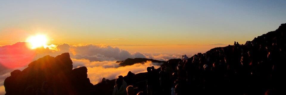 emilyannemoore1's profile banner image