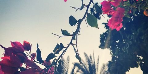 AmoolAmr14's profile banner image