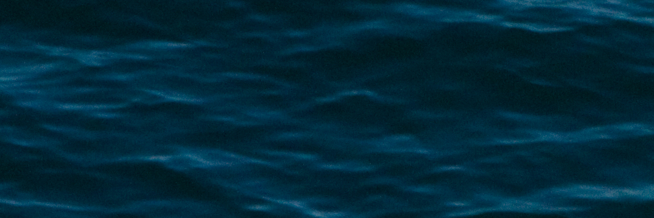 Emma Tuxworth banner