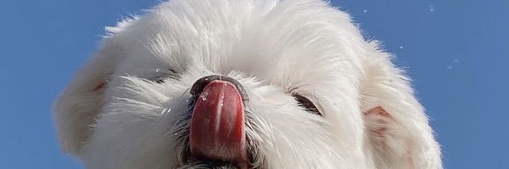 kcists's profile banner image
